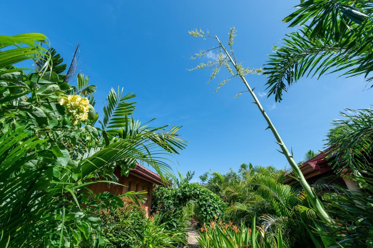 D Canal House Mirissa Exterior foto